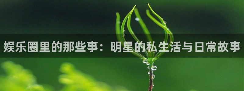 先锋娱乐平台：娱乐圈里的那些事：明星的私生活与日常故事