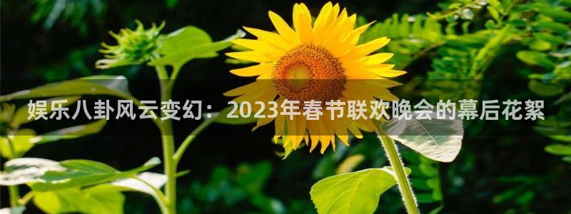 先锋娱乐公司：娱乐八卦风云变幻：2023年春节联欢晚会的幕后花絮