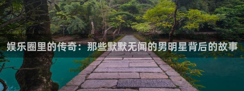 先锋娱乐公司：娱乐圈里的传奇：那些默默无闻的男明星背后的故事