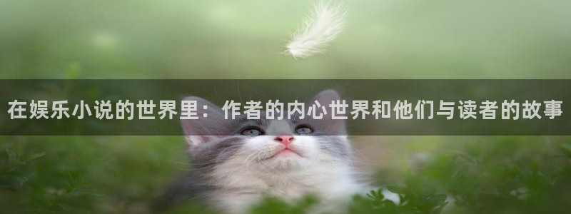 先锋娱乐公司：在娱乐小说的世界里：作者的内心世界和他们与读者的故事