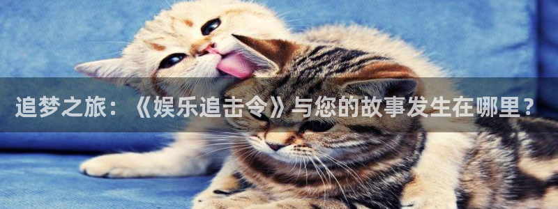 先锋娱乐公司：追梦之旅：《娱乐追击令》与您的故事发生在哪里？