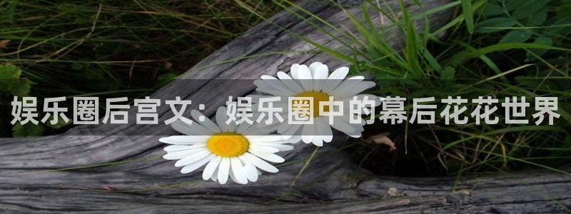 先锋娱乐公司：娱乐圈后宫文：娱乐圈中的幕后花花世界