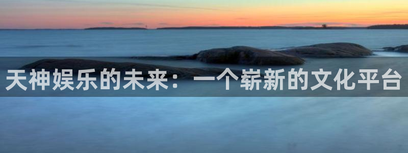 先锋娱乐公司：天神娱乐的未来：一个崭新的文化平台
